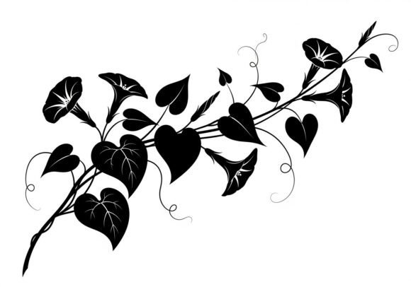 Black Heart Shaped Leaves on Vine Graphics & Illustrations