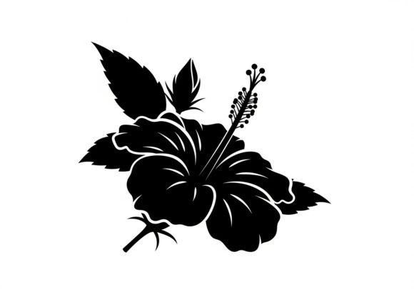 Black Hibiscus Flower Graphics & Illustrations