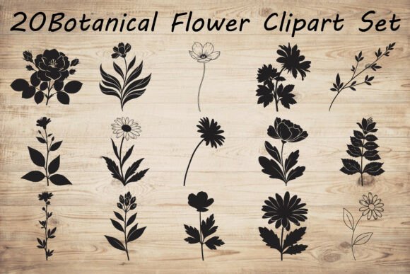 Botanical Flower Silhouette Graphics & Illustrations