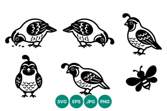 Quail Bird Vector Art with Bee Black